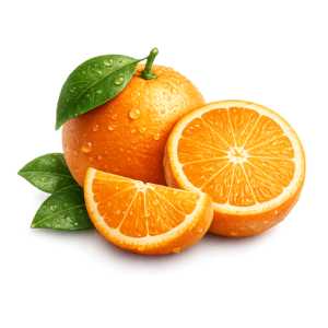 file 00000000446c720b92eac3f0f98c1a6f