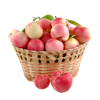 Fresh Apples